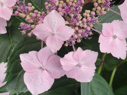 Rekindle Joy, Captivate Inner Peace