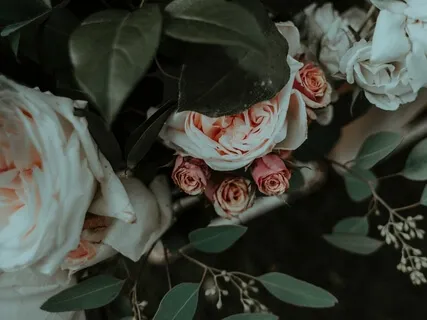 Rekindle Passion In Your Relationship