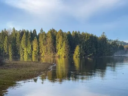 Relating To Anxiety With Awareness