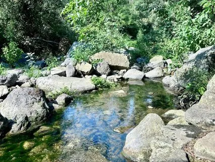 Relationship Affirmations For Cultivating Trust