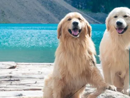 Relationship Affirmations For Love And Self-Worth