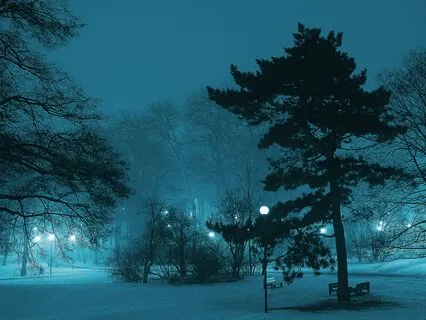 Relationship Radiance: Genuine Connections