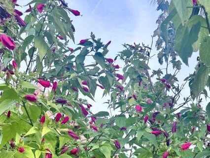 Relationship Release Affirmations For Breakups