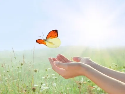 Relationship Releasing Meditation