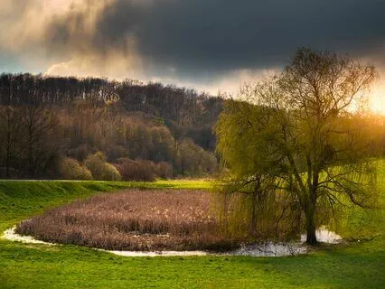 Relationship Relief: Soothing Tensions