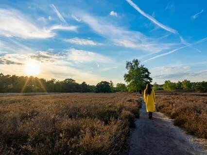 Relationship Renewal: Stress-Free Connection