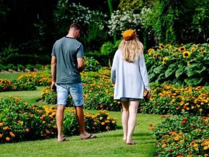 Relationship Repair And Growth Just Like A Garden