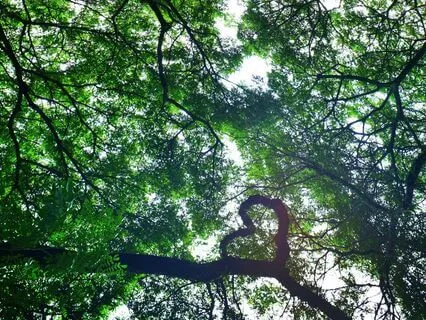 Relationship Reset: Loving-Kindness From Self To Partner