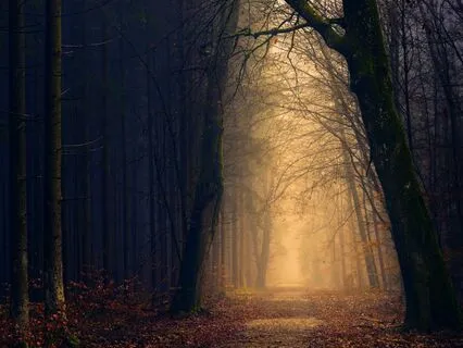 Relationship Resonance: Building Genuine Connections