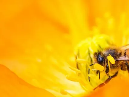 Relationships With Self: Self-Acceptance - Day 3