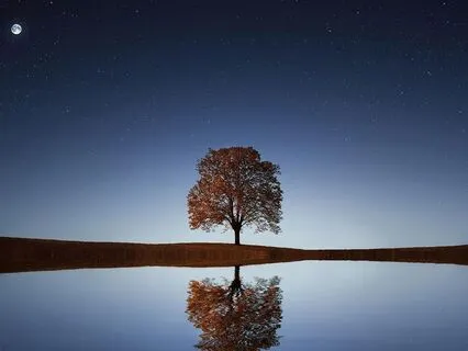 Relative Peace - Absolute Peace