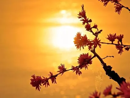 Relax After A Long Day – 30 Minute Piano Journey
