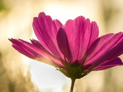 Relax And Attune To The Emergent Future