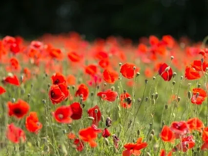 Relax and Be Positive