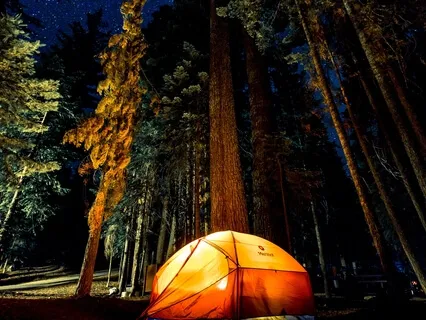 Relax & Fall Asleep With Ease