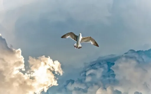 Relax & Fly High My Luv!