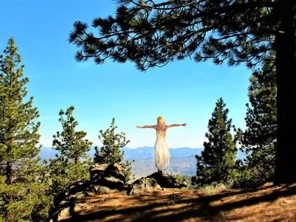 Relax & Fly