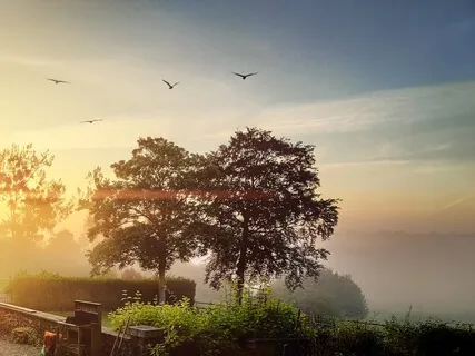 Relax & Focus Intro 20