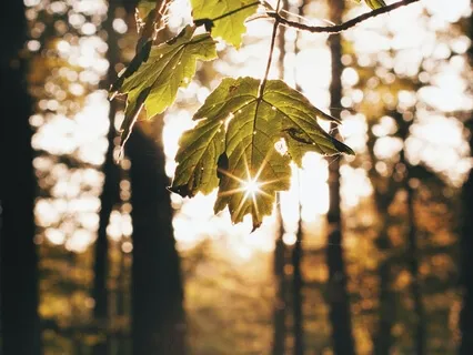 Relax & Grow Self-Esteem