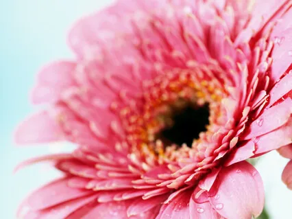 Relax & Heal From Your IBS Symptoms