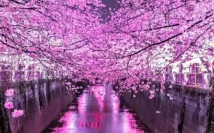 Relax & Let Go Guided Meditation With Affirmations