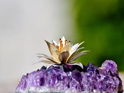 Relax & Let Go With Awareness Talk + Meditation