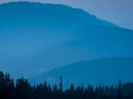 Relax and Let The Wind Carry You Away - Brown Noise & Music