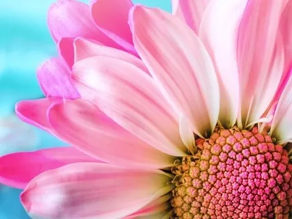 Relax & Receive- A Course In Miracles