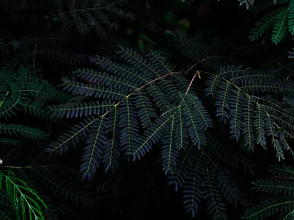 Relax & Release Into Sleep