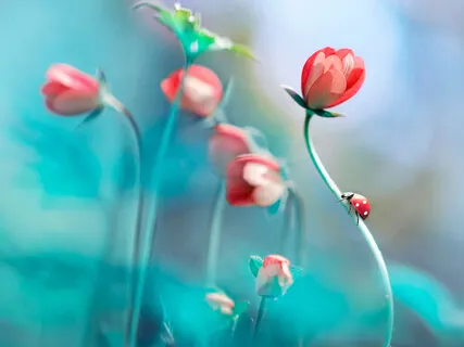 Relax & Release Tension