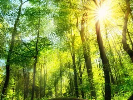 Relax And Remember Your Magic