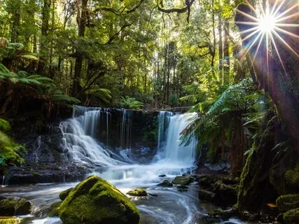 Relax & Restore Balance - Amrit Yoga Nidra