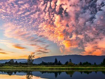 Relax And Restore: Instant Stress Relief