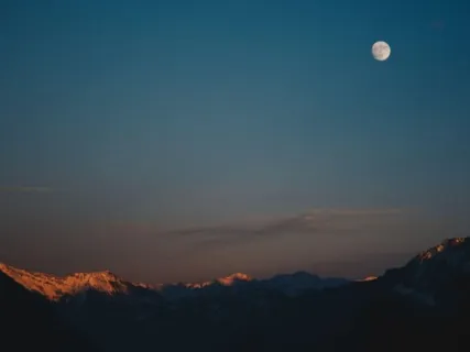 Relax And Sleep Under The Great Oak
