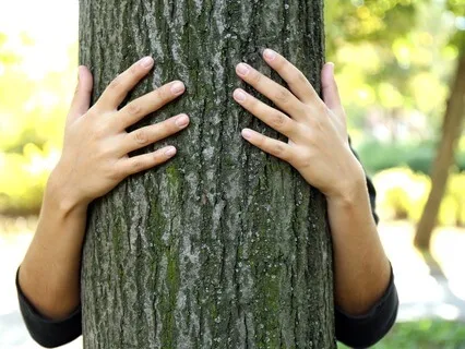 Relax And Unwind: Nature's Welcome