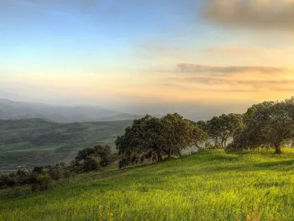 Relax Body And Fill With Gratitude - 93