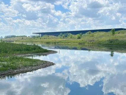 Relax By Observing Yourself