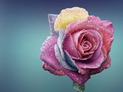 Relax, Calm & Reflect 