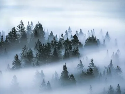 Relax Deeply With Yoga Nidra