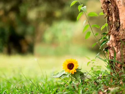 Relax, Focus & Expand