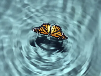 Relax Healing Meditation