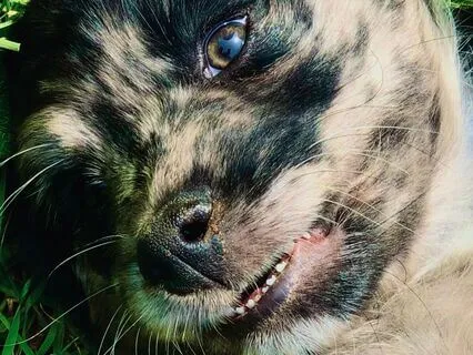 Relax Into A Confident Upright Posture