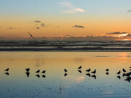 Relax Into Calm: Isolation