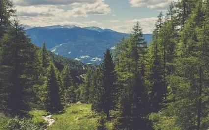 Relax Into Presence - Meditation 32