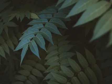 Relax Into Sleep: Guided Practice