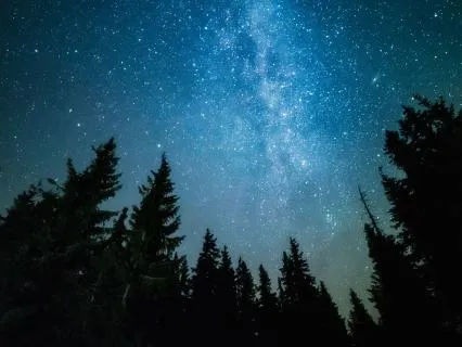 Relax Into Sleep (No Music)