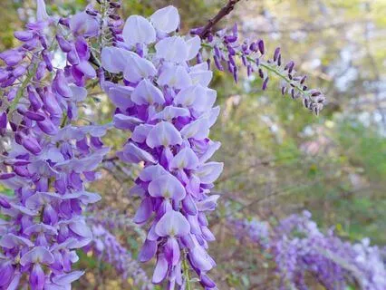 Relax Into Stillness Healing Frequencies To Put You At Peace