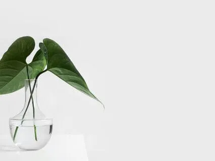 Relax Into The Foundations Of Mindfulness