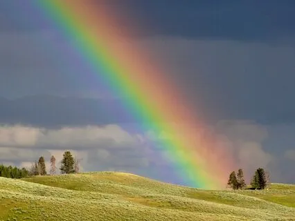 Relax Into The Rainbow