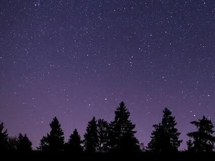 Relax Into The Stillness Of The Night